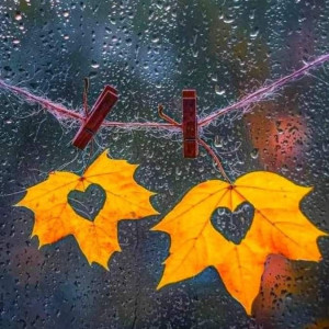 23a2ac25b6a202193266e890ae27282c