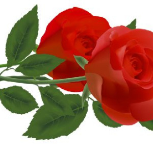 4a9056cd0a6b9f25fc8f5965826cca5e