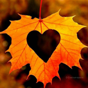 4b829ea304b5889c906ba0cf78bd4b9c