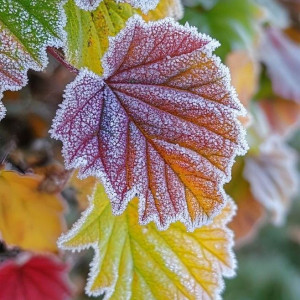 77a9ea61b8ce051fdffe9048e29221a1