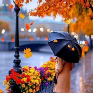 84edc8db00b85de2e967c56dc2ffdd95