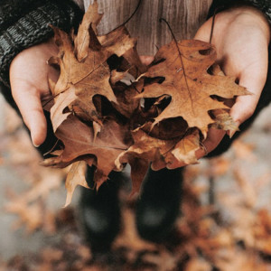 86cac3c3899b710192917ec47ae401d4