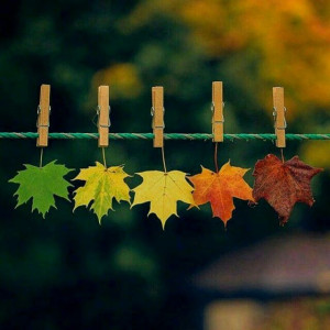 f387056910c37d81e18c29b323aa2fdf