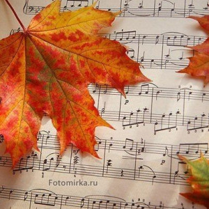 f4581bc5c2d8b955f8d3694f1af2973e