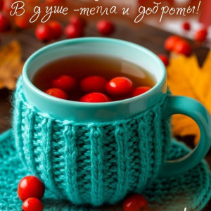 f8488bdd5da3ebe58339b20ce7465f36