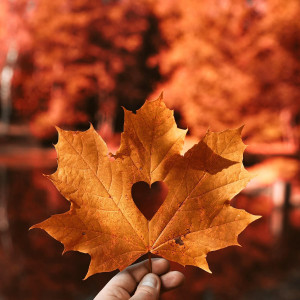 faa98d4e60aa59a79496955798f9472c