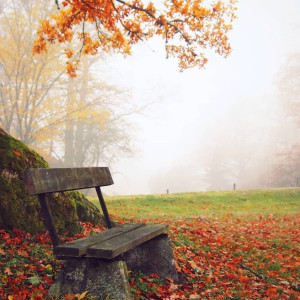 fcdedb460d34e10fd26d56919bbcd1dd