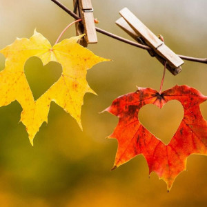 ff46f3cc22d28e2ef780a015fd73165e