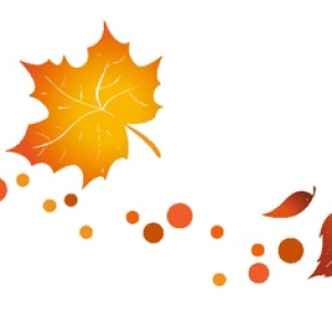 foni-papik-pro-d0zm-p-kartinki-razdelitel-osen-na-prozrachnom-fo-5