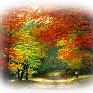 foni-papik-pro-vq8e-p-kartinki-osen-priroda-na-prozrachnom-fone-14