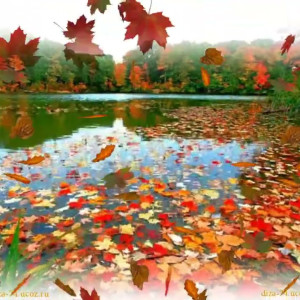 maxresdefault9b0f913ca4a4061d