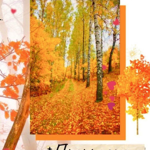 141eaa817ec4d8d0c7ade3eac825681a