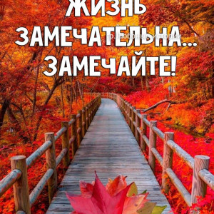 4c0f92f1625ae433c62cfda40df06acb