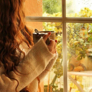 508eb15e7b93d6f8c71590099f520c66