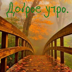 52c6633b0fb9c1200981b77ef676b695