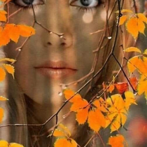 5fbadf2d4c3af5fe04bd9b26c64e51a5