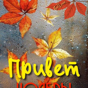 7c770d191b163ee10693682bdca29f54