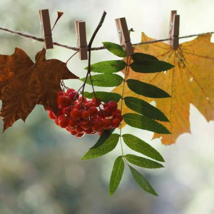 d602fde59f2fca52a248686d4123ab2b