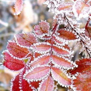 dc0aab48f63309da48cc4180251bd1e2