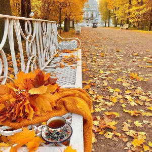 de39e061bb0ed11e4cb364ed53f0ff80