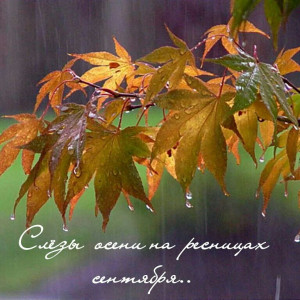 dfdf06dc7cc6ae304dbce73387335a3a