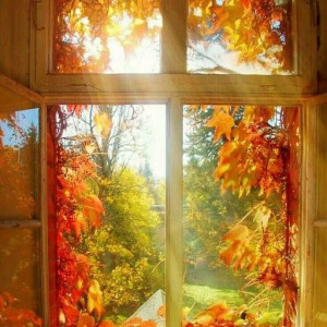 e03fb6ef851f37fd6dcd5d32fa9434fc