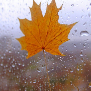 e892d278e5c11f56eb8eff04ebff9972