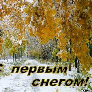 e8cfda0c823d9a176e71e70e6e784818