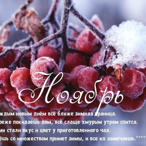 f02e247661921f05a7b025f47b6ea3db