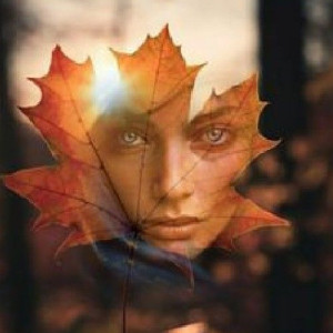 f2f12bee784303649fa516fec369fd6b