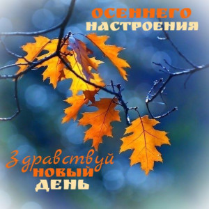 f85e37ef3ec7ded20f3f1efe368f3dd0