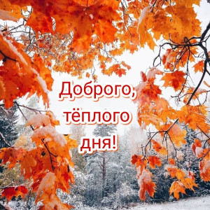 08425760b7cf021c07e7fcd79e845e2a