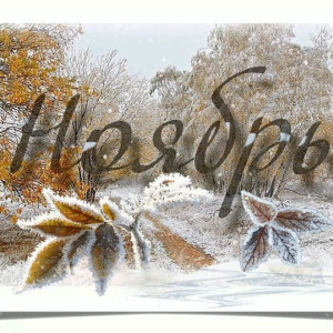 101058b106af2f87036b16db688fe26b