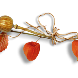 138082064_M0pbqYV5ousJoMopewZaaOvNvcQ980x471