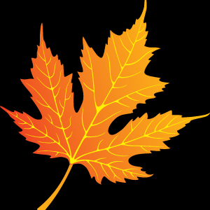 1614554223_72-p-osennii-listok-na-belom-fone-91