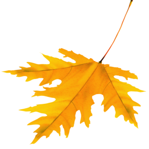 164938123_4138752_163020372_5840010_125188638_0_136fbc_c3ac3810_origa_1_2_