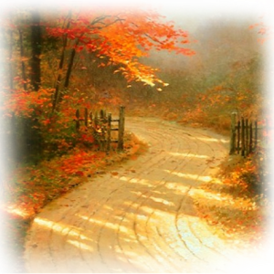 164944899_osen127__113