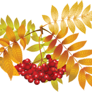 165062188_0_1090a4_553cff74_orig_0