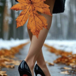 561727361_1867993734124836_5448476778101894721_n