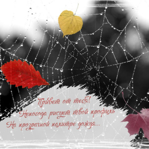 aabf2c4029b6c66fe7acffe61791707a