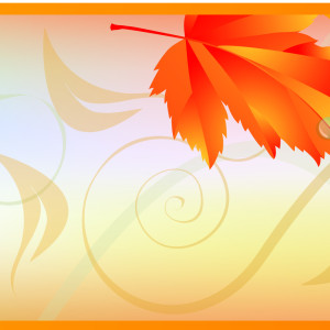 bf8ed87ad10b_-_kopiya