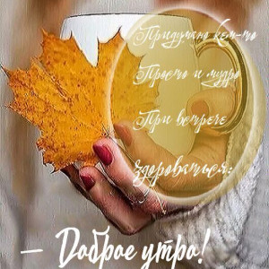 ce220066da07f1b85c08a8022e49e72b