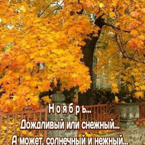 cf309577264d149a5a929aae01aad1aa