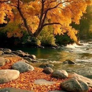 d5f305ee440a62a55fcf0e7b7bc56fbb