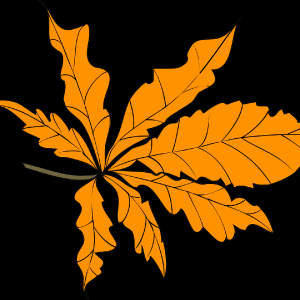 de1e2d5427ed---KOPIY-7